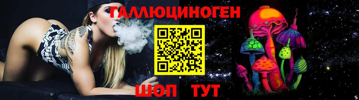 где продают наркотики  Вход с VPN  Фрязино  Псилоцибиновые грибы Cubensis  Псилоцибиновые грибы Psilocybine cubensis 